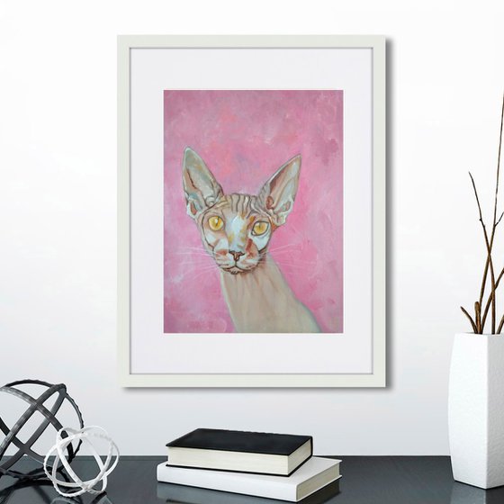 Sphinx cat pink background