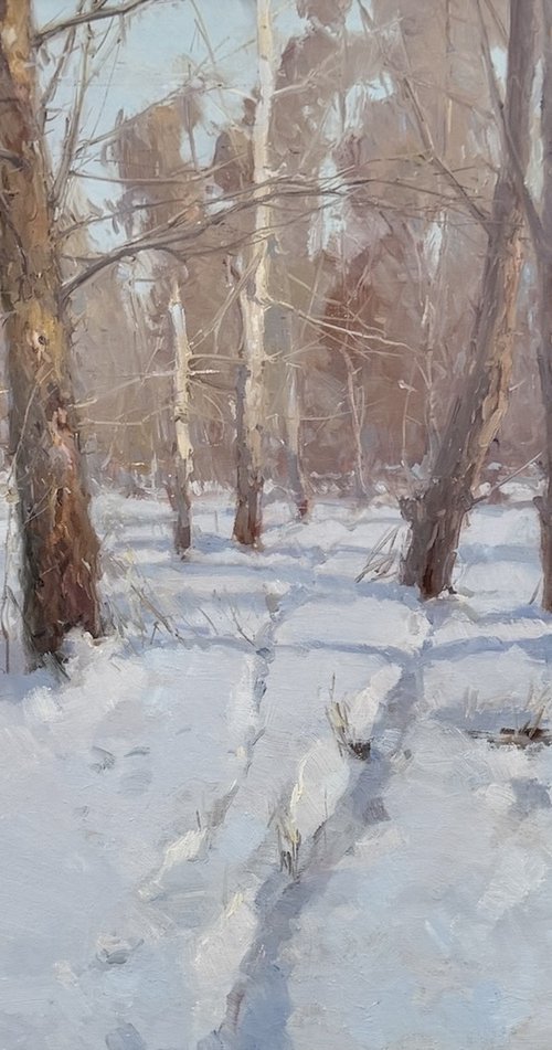Snow Covered by Vahe Yeremyan