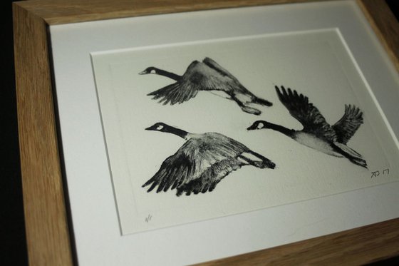 Flying Birds, Geese Monoprint, Monotype Print Framed