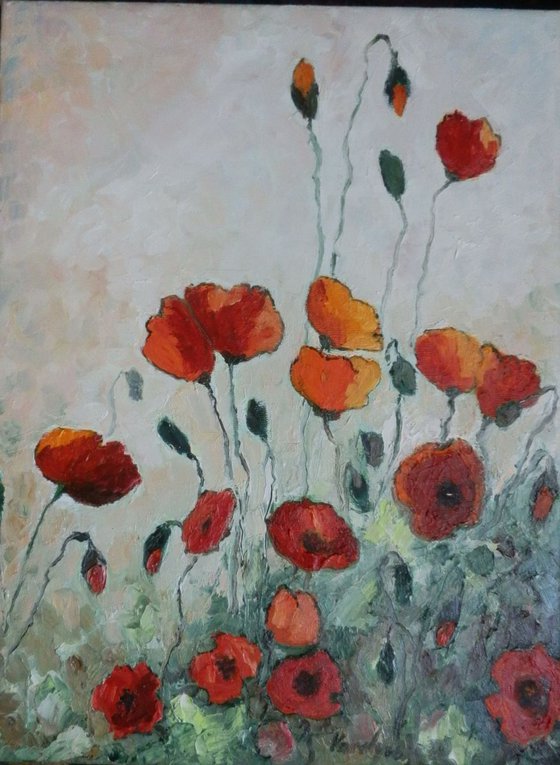 Summer and poppies