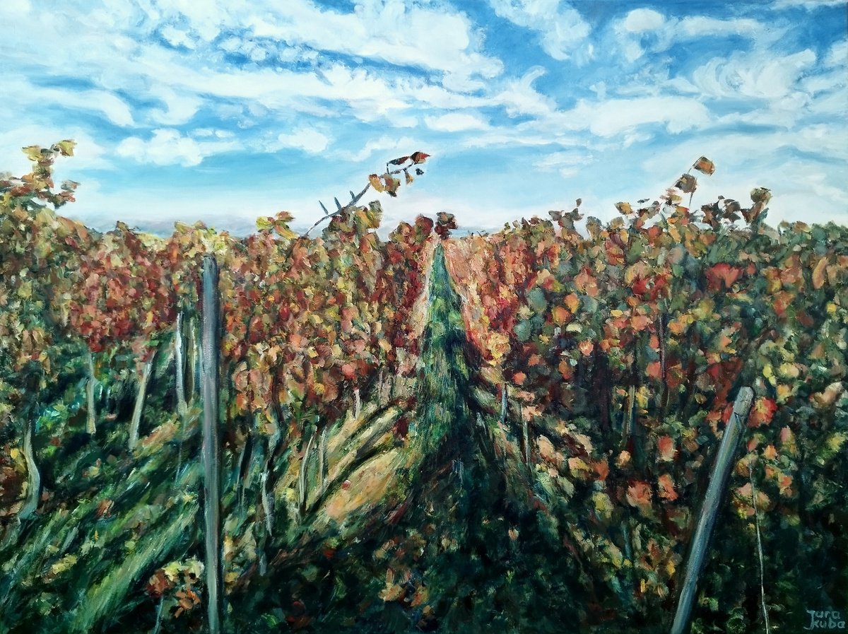 Vineyards On The Rhein by Jura Kuba Art
