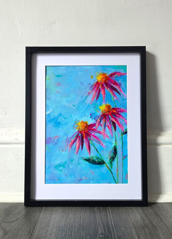 Echinacea
