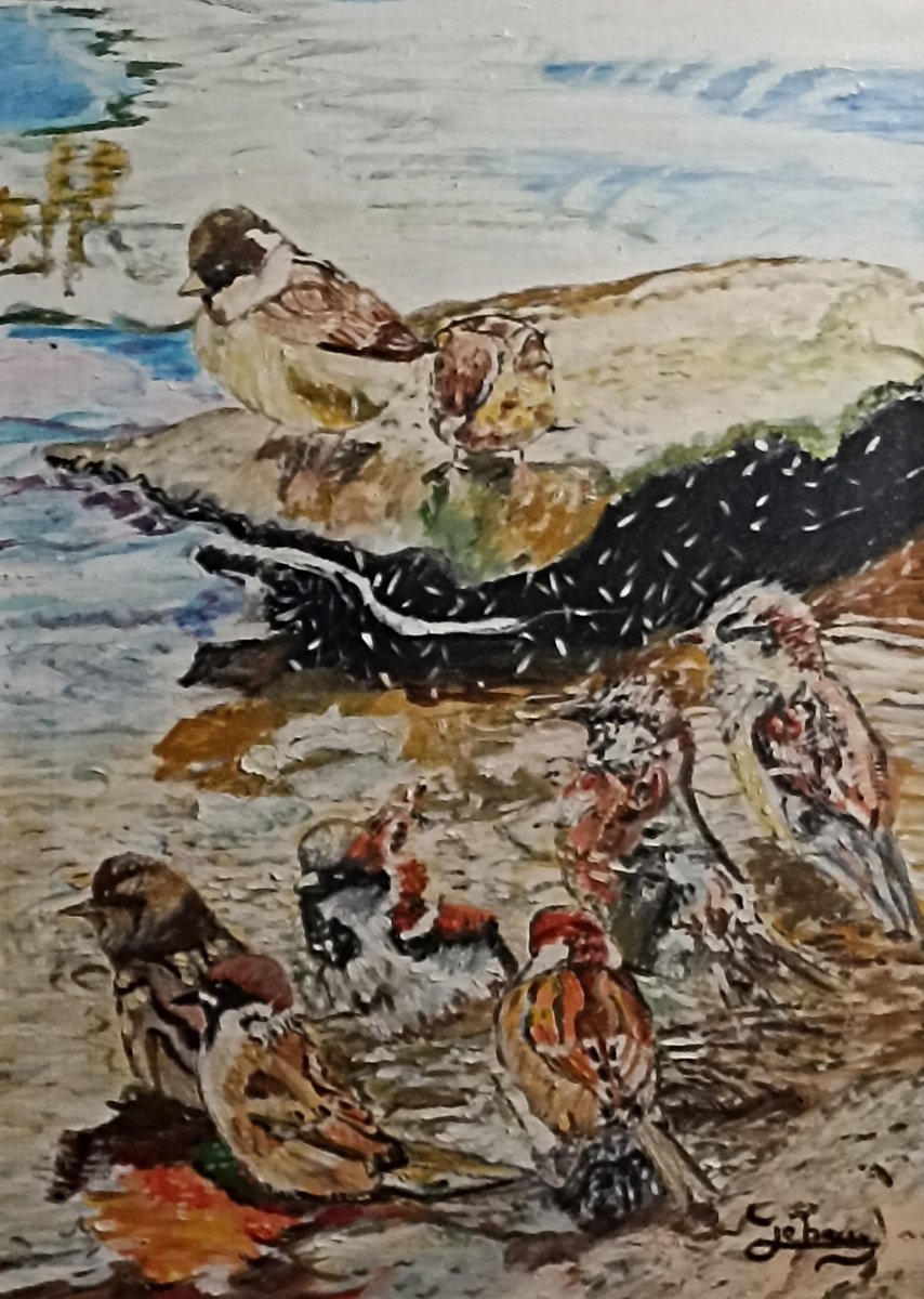 Impressionistic Animal Oil Painting By Isabelle Lucas, 13 X 18, Birds Bath, Original Artwork