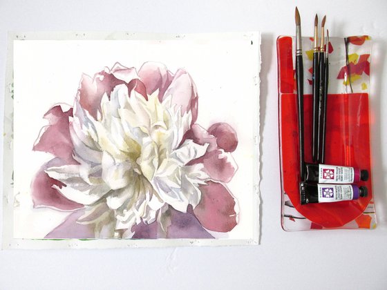 pink and white peony watercolor floral