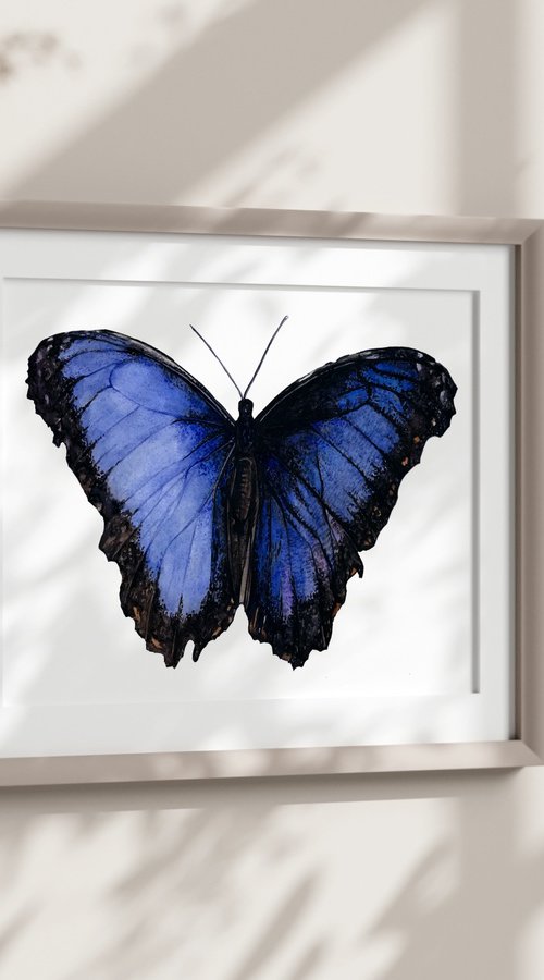 Blue Morpho Butterfly by Irsa Ervin