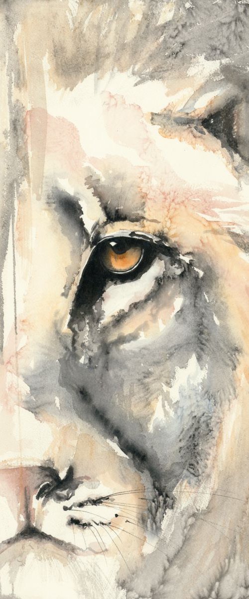 'Hiding Lion' by Nicola Colbran