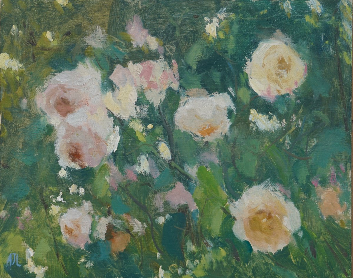 Roses In Early Morning Light By Alex James Long, 12 X 9, Artwork For Sale On Artfinder