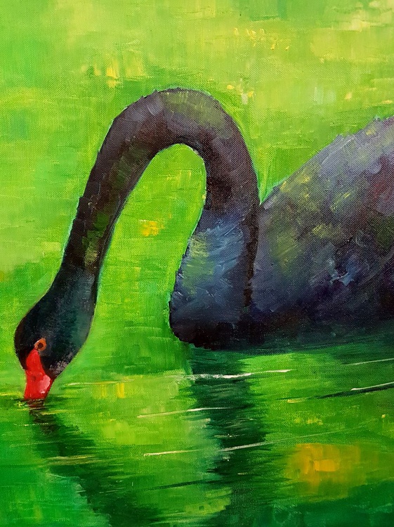 Original Oil Painting Black Swan Painting Artfinder