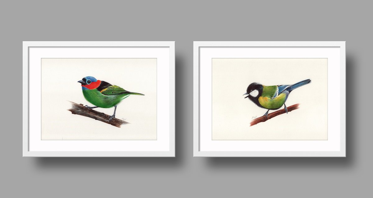 Photorealistic Animal Drawing By Daria Maier, 12 X 8, Birds Collection Vii, Original Artwork