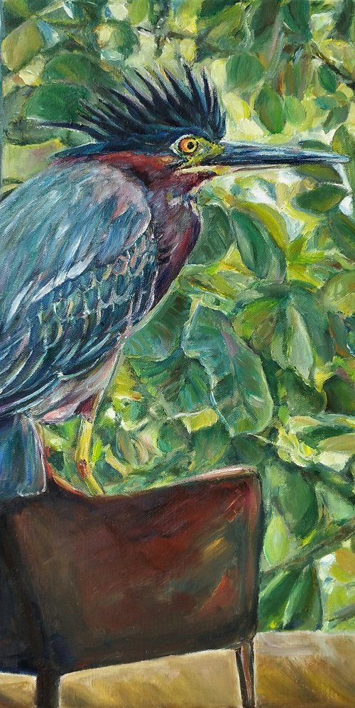 Green Heron At Home by Jura Kuba Art