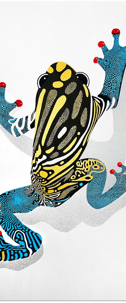 Frog by Chris Keegan