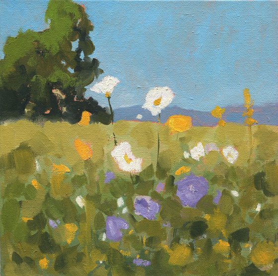 Floral Frontiers