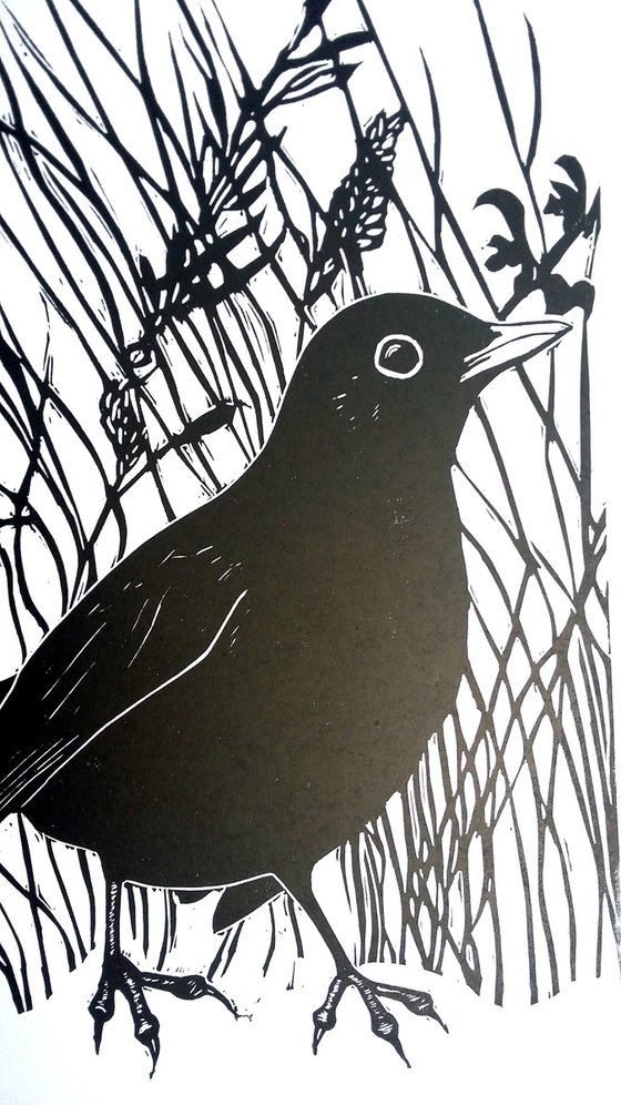 Blackbird linoprint
