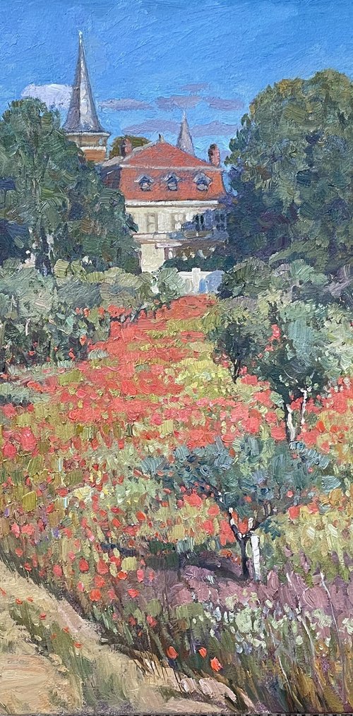 Poppy field near the old estate by Nadezda Stupina