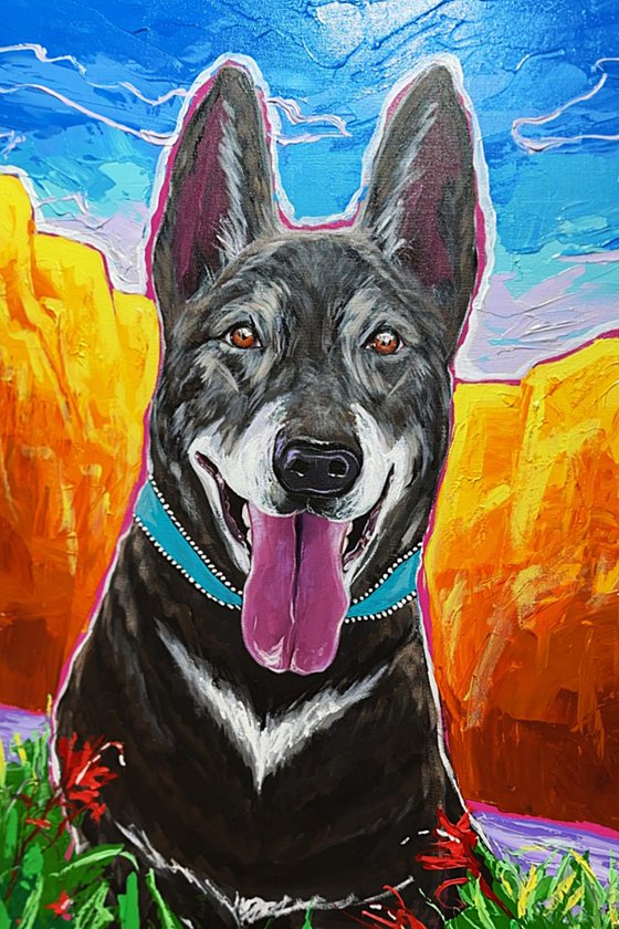 German Shepherd