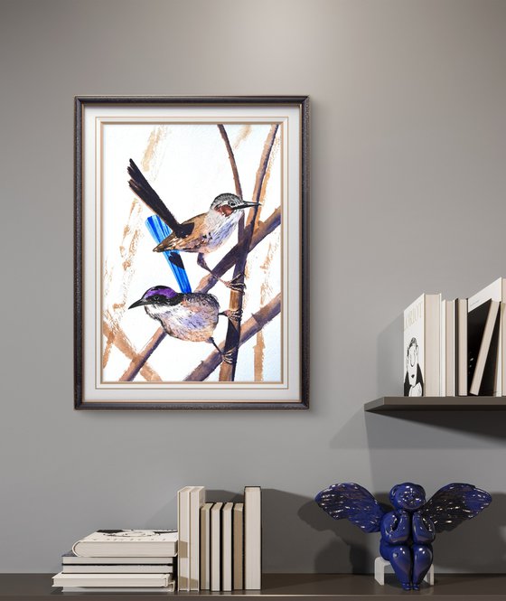 Pair Purple-crowed Fairy-wrens