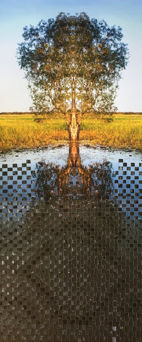 Woven family tree still waters by Jennifer Bell