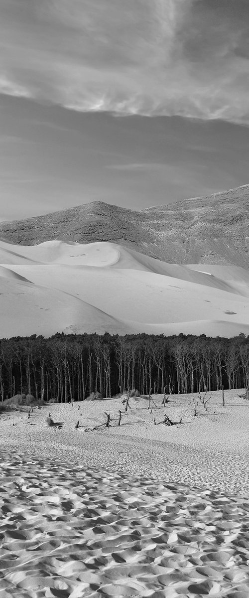 Wander land by Jacek Falmur