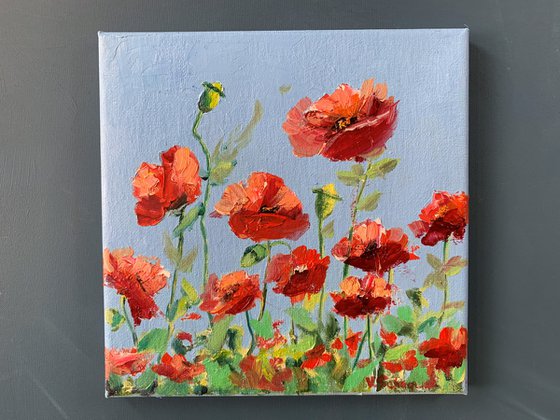 Poppies. Flowers.