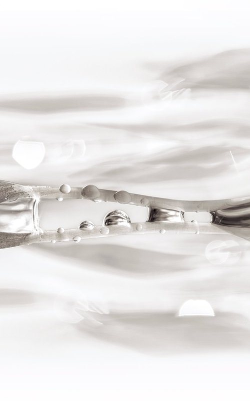 THE FLOW by Inna Etuvgi