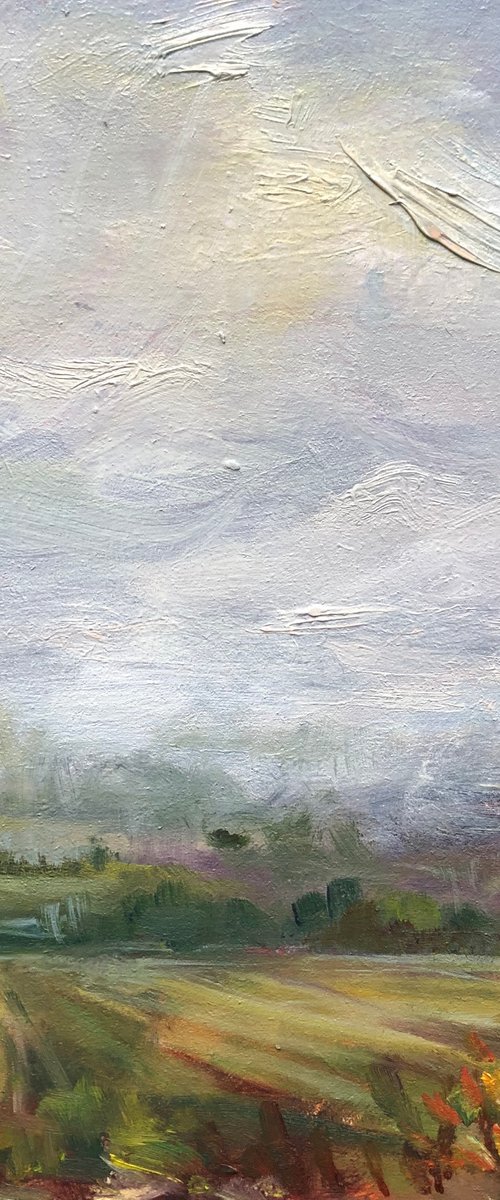 Misty Morning by Zoe Posnett