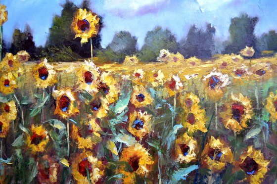 Sunflower field