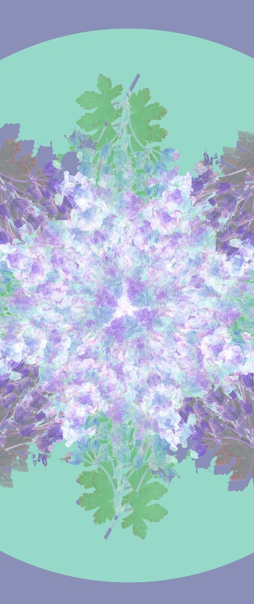 Botanical Mandala #5 by Louise O'Gorman