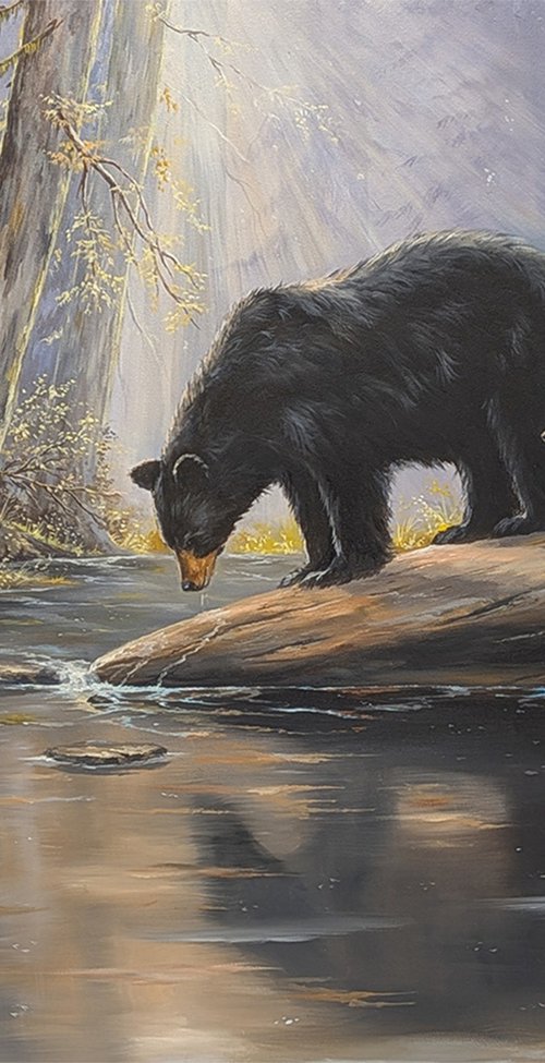 Morning at the Creek by michael Schutte