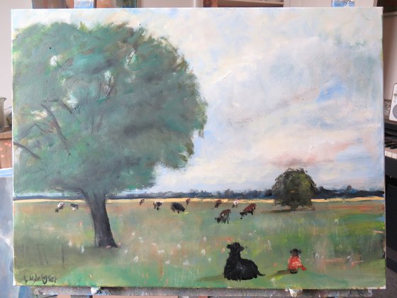 Cow Meadow