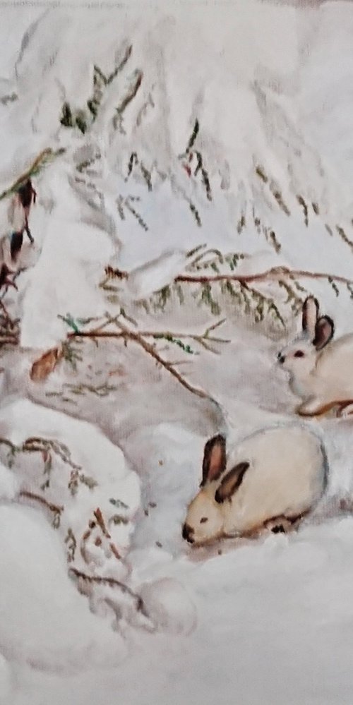 Rabbits in the snow by Viktória Déri