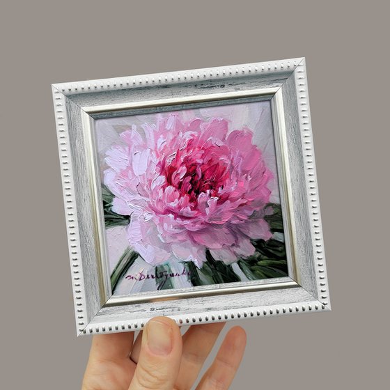 Pink peony