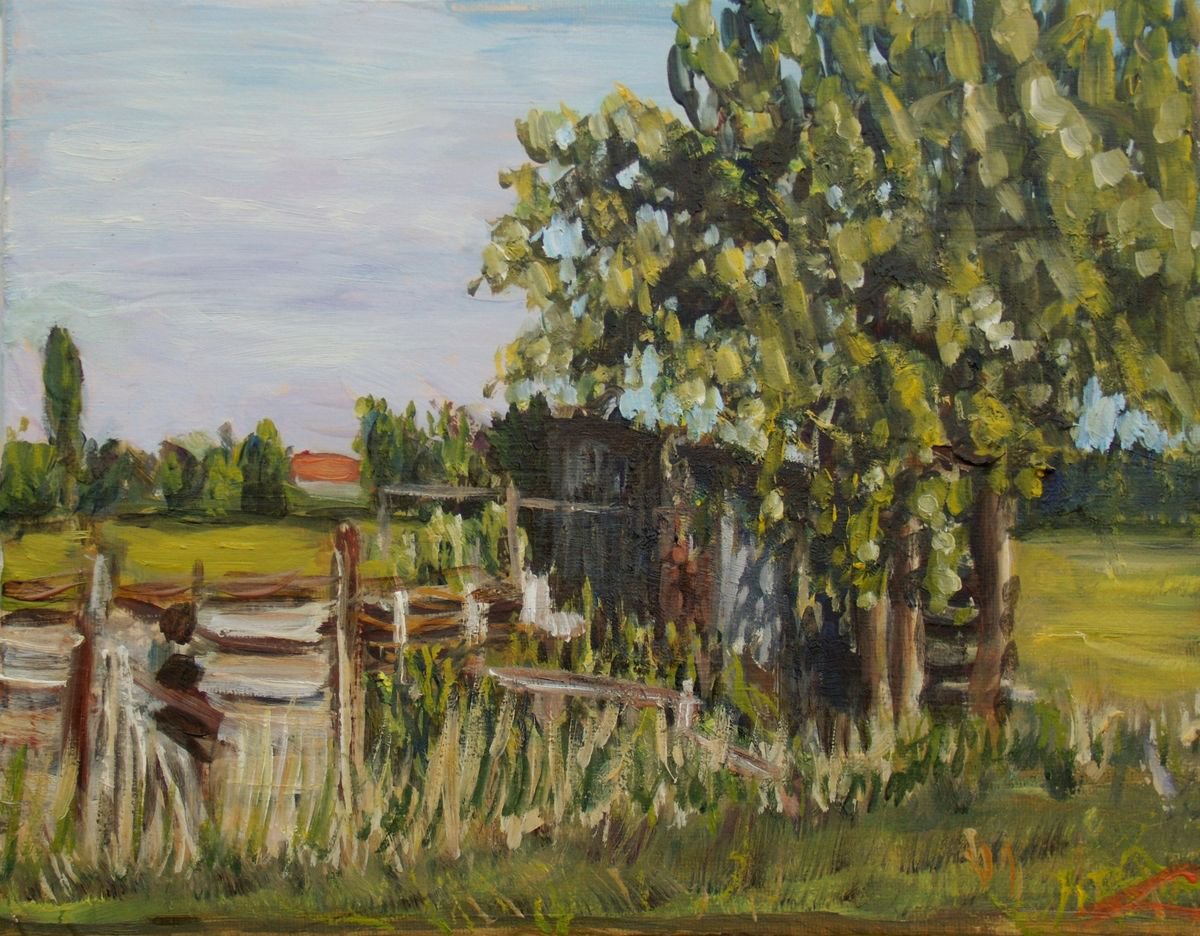 Old barn in the fields by Elena Sokolova