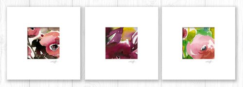 Abstract Florals Collection 3 - 3 Flower Paintings in mats by Kathy Morton Stanion by Kathy Morton Stanion