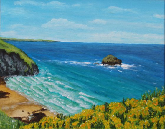 Trebarwith strand - painting commission