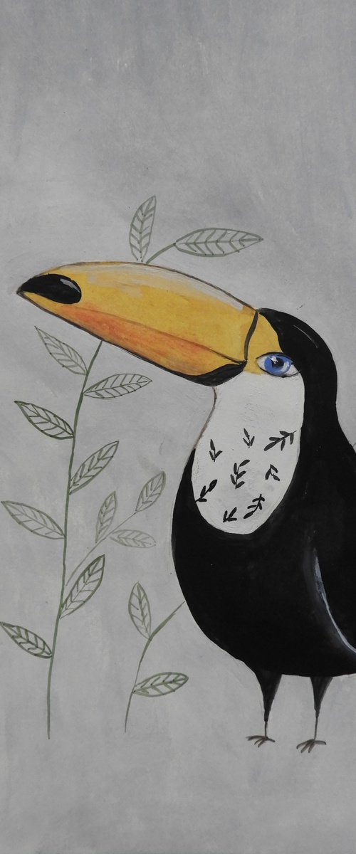 The toucan by Silvia Beneforti