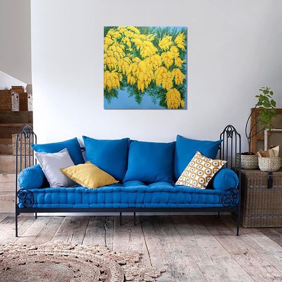 Mimosas in Bloom