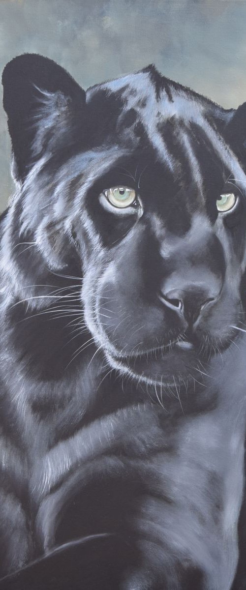 'Maya' by Nicola Colbran