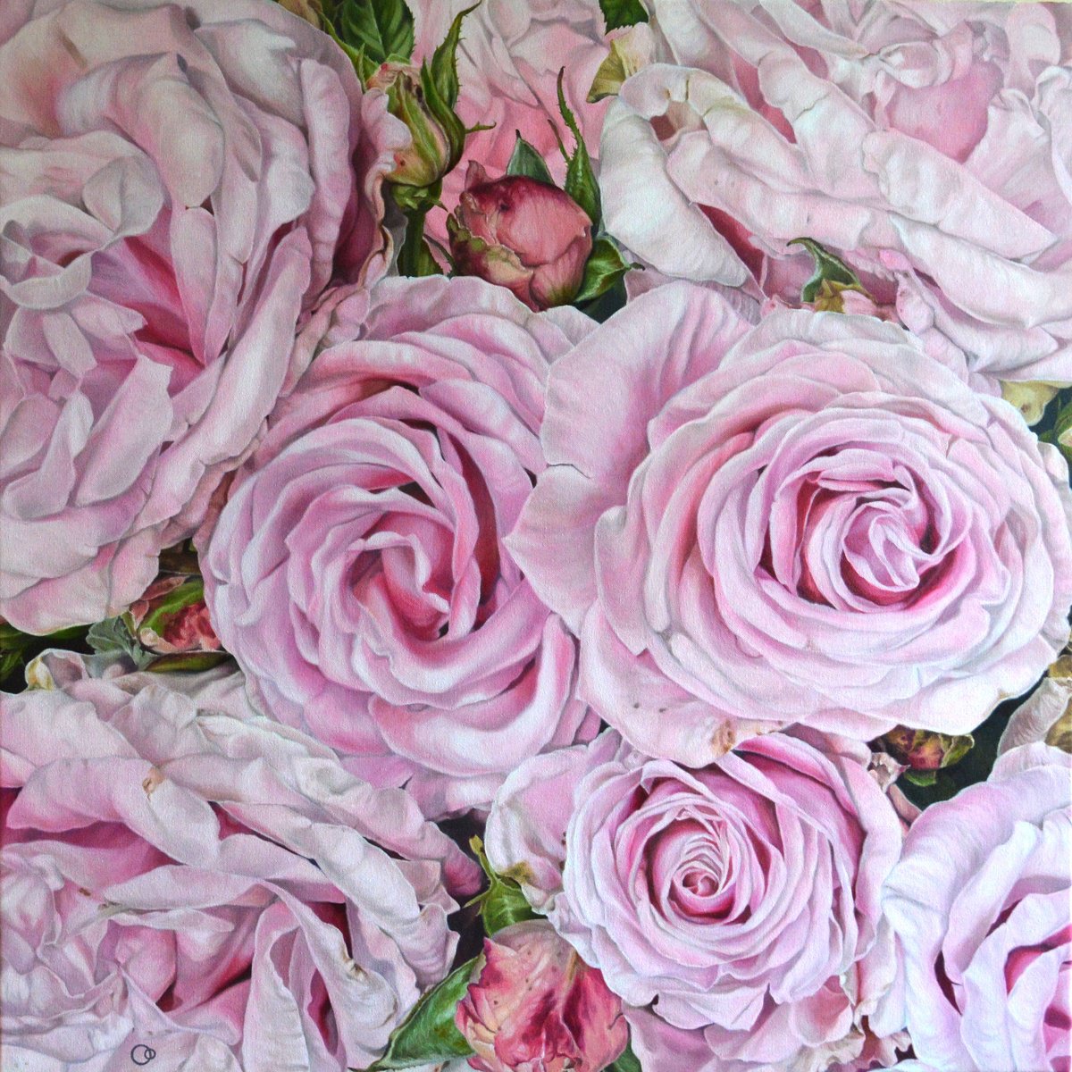Pink Rose Adagio by Veronique Oodian