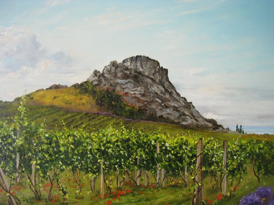 Lavender Field and Vineyard