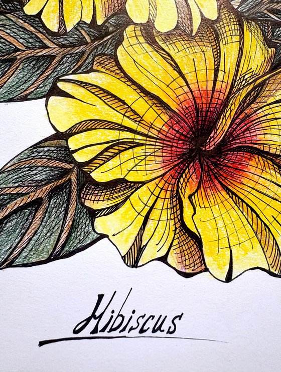 YELLOW HIBISCUS DRAWING