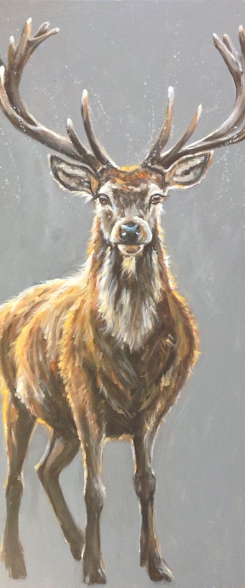 Mr Majestic by Louise Brown