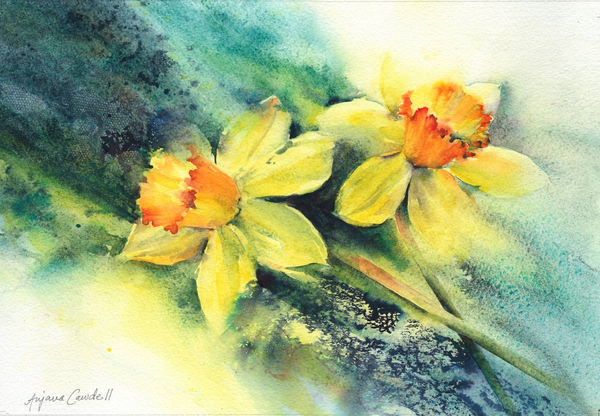 Impressionistic Botanical Watercolour By Anjana Cawdell, 14 X 9, Daffodils, Original Artwork