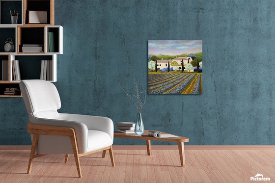 A Dream of Provence