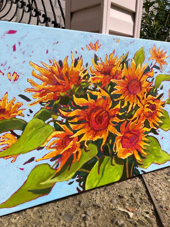 Dance of sunflowers