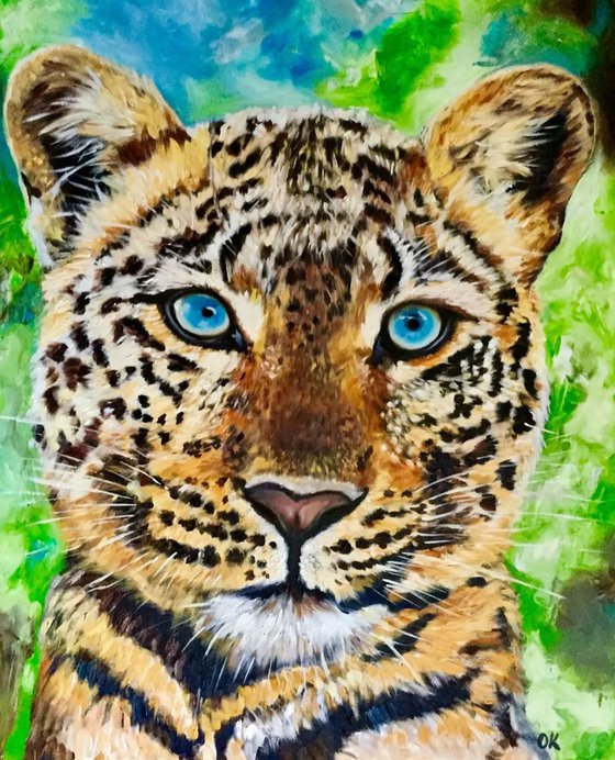 LEOPARD. Blue eyes
