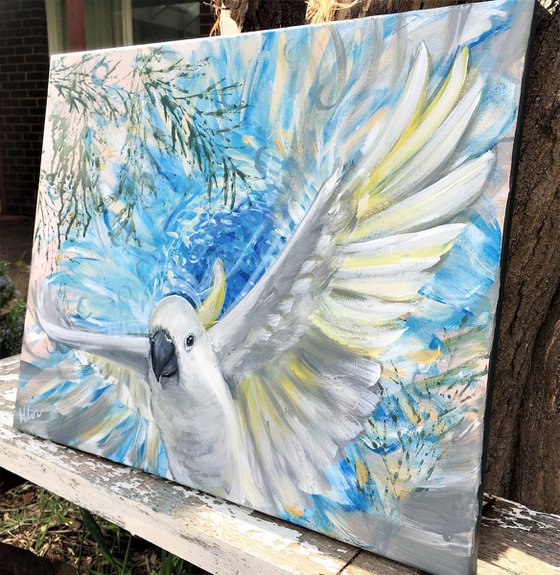 Soaring High – White Cockatoo