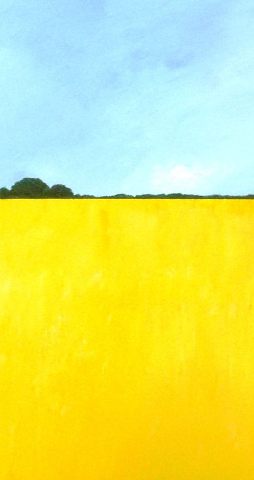 Rapeseed Fields by Jan Rippingham