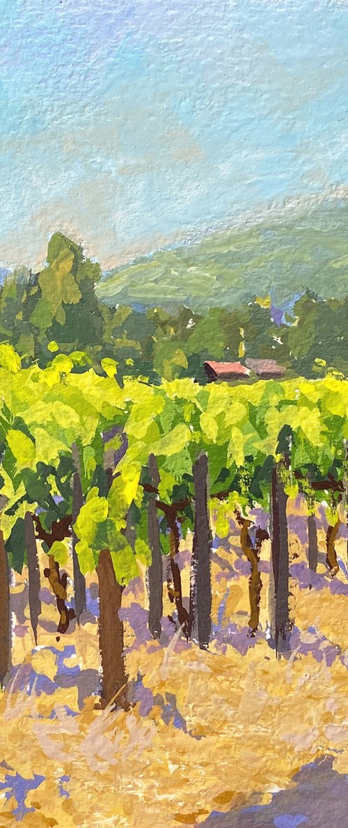 Visiting Folktale Vineyard In Carmel Valley by Tatyana Fogarty