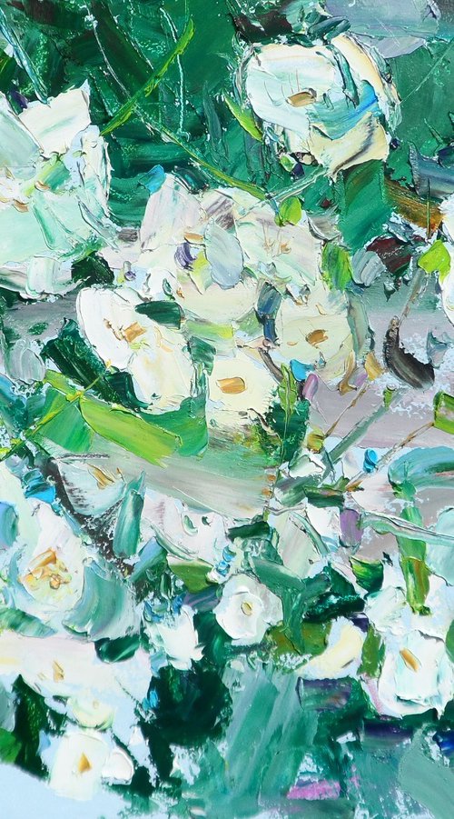 " jasmine flower " by Yehor Dulin