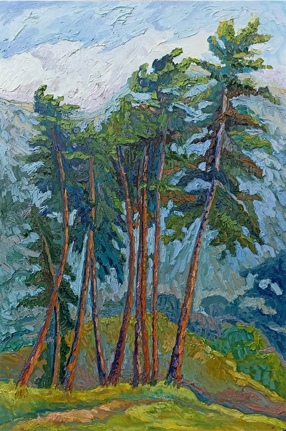 Pine Trees With Orange Trunks